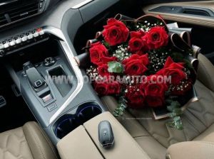 Xe Peugeot 3008 GT 2024