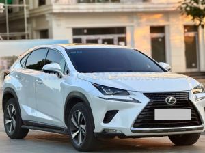 Xe Lexus NX 300 2018