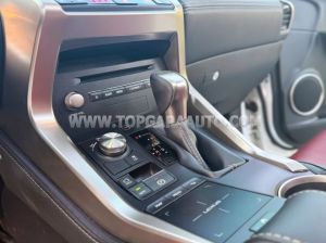Xe Lexus NX 300 2018