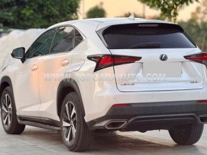 Xe Lexus NX 300 2018