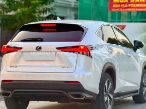 Xe Lexus NX 300 2018