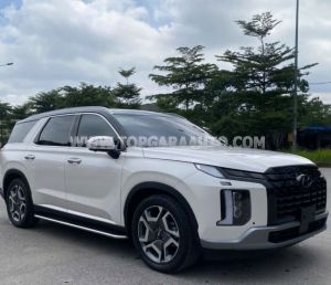 Xe Hyundai Palisade Prestige 2.2 AT HTRAC 2024