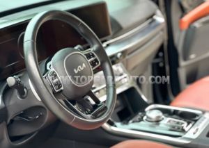 Xe Kia Carnival Signature 2.2D 2022