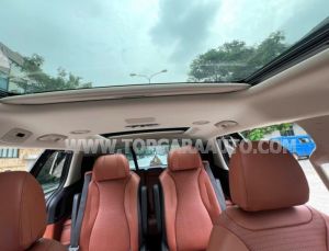 Xe Kia Carnival Signature 2.2D 2022