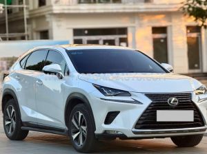 Xe Lexus NX 300 2018