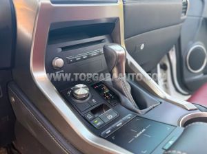 Xe Lexus NX 300 2018