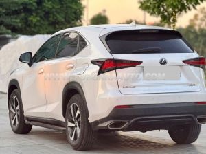 Xe Lexus NX 300 2018
