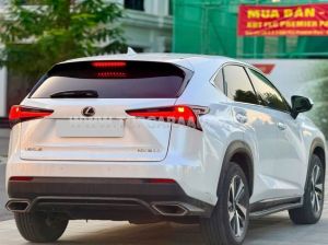 Xe Lexus NX 300 2018