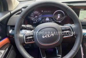 Xe Kia Carnival Signature 2.2D 2023