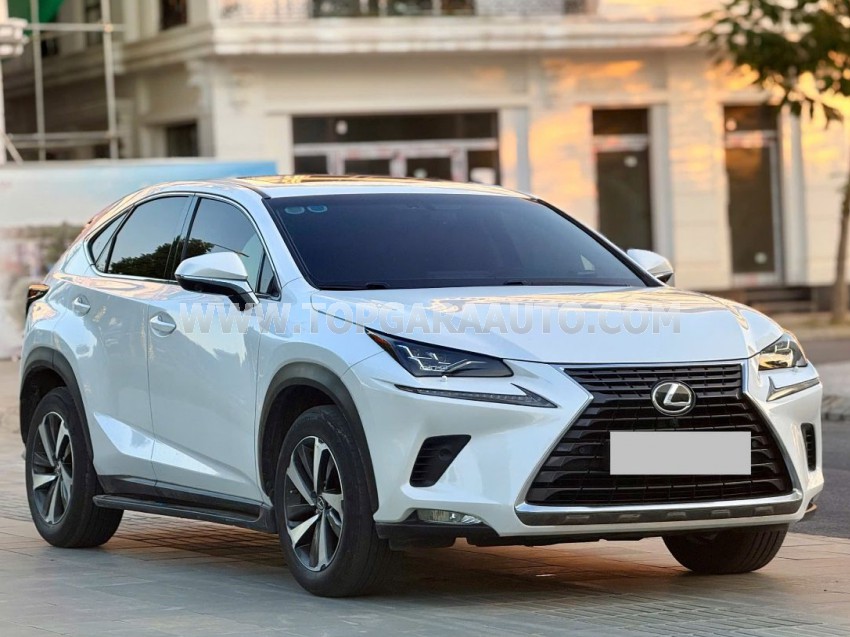 Lexus NX 300 2018