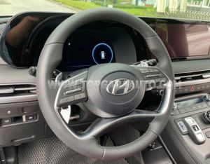 Xe Hyundai Palisade Prestige 2.2 AT HTRAC 2024