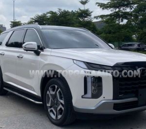 Xe Hyundai Palisade Prestige 2.2 AT HTRAC 2024