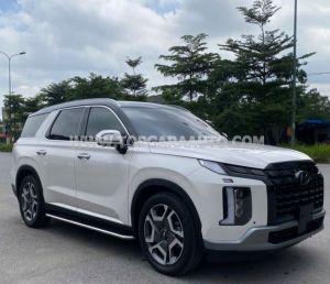 Xe Hyundai Palisade Prestige 2.2 AT HTRAC 2024