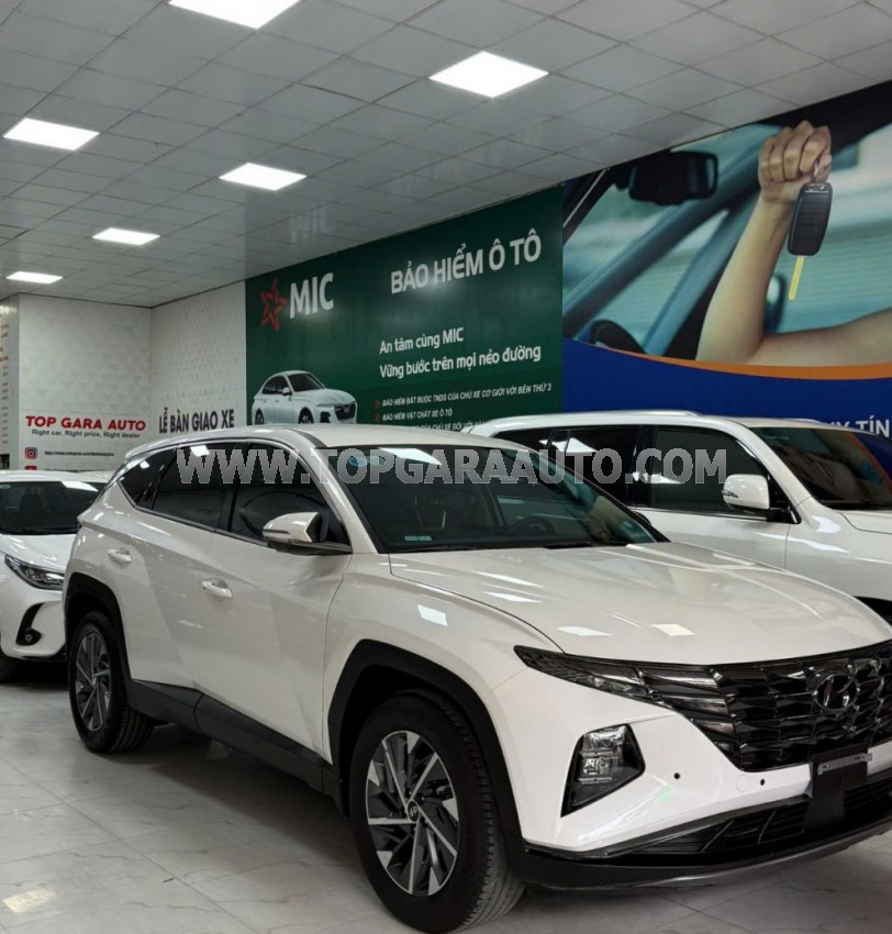 Hyundai Tucson 2.0 AT Đặc biệt