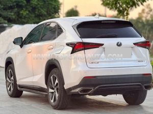 Xe Lexus NX 300 2018