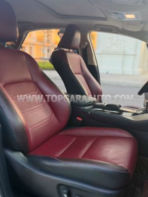 Xe Lexus NX 300 2018